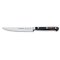 Steakmesser 12 cm mit Wellenschliff von F. Dick