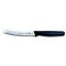 Pro Dynamic Tomatenmesser 11 cm, C+C-Skin von F. Dick