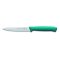 Pro Dynamic Küchenmesser 11 cm, türkis